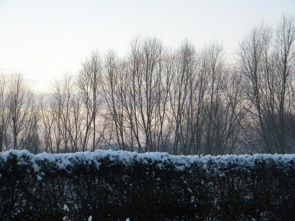 Petrus Wittebrood Hoeve Dikkelvenne Luaran gambar