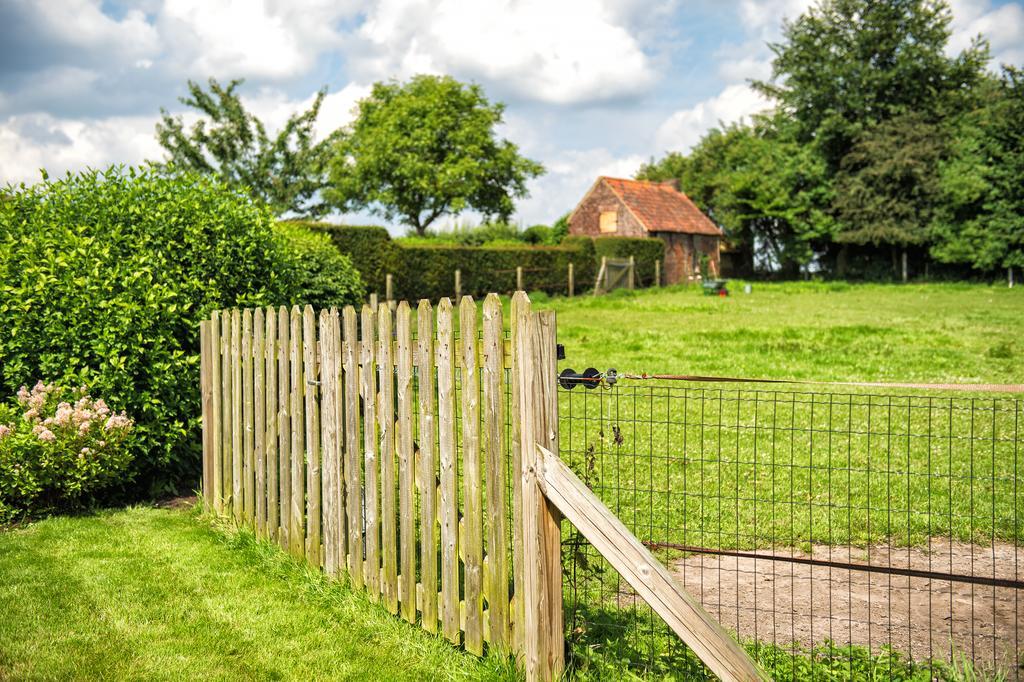 Petrus Wittebrood Hoeve Dikkelvenne Luaran gambar